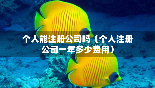 个人能注册公司吗（个人注册公司一年多少费用）