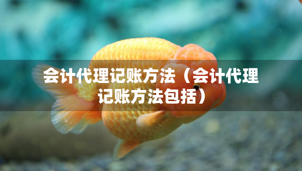 会计代理记账方法（会计代理记账方法包括）