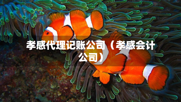 孝感代理记账公司（孝感会计公司）