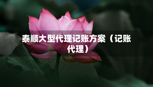 泰顺大型代理记账方案（记账 代理）