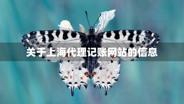 关于上海代理记账网站的信息