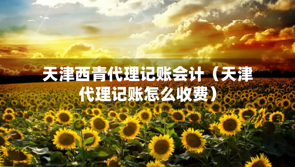 天津西青代理记账会计(天津代理记账怎么收费) 天津西青代理记账会计(天津代理记账怎么收费)