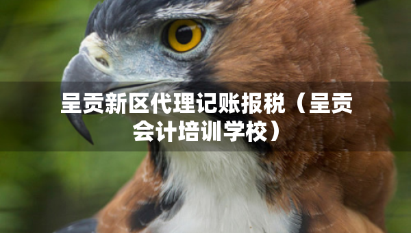 呈贡新区代理记账报税（呈贡会计培训学校）