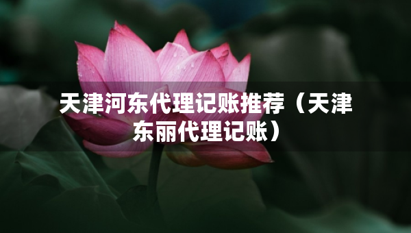 天津河东代理记账推荐（天津东丽代理记账）