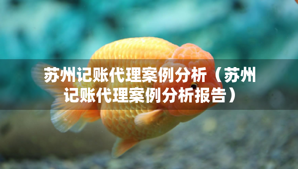 苏州记账代理案例分析（苏州记账代理案例分析报告）