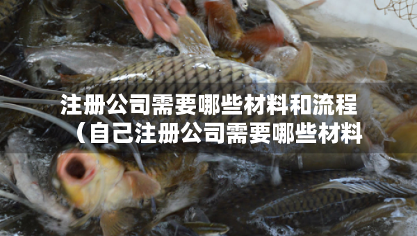 注册公司需要哪些材料和流程（自己注册公司需要哪些材料和流程）