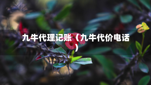 九牛代理记账（九牛代价电话）