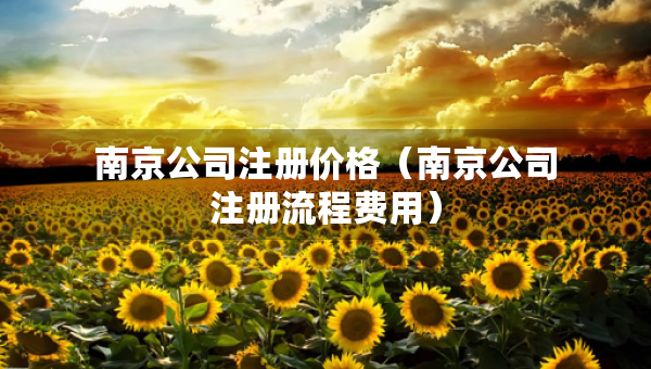 南京公司注册价格（南京公司注册流程费用）