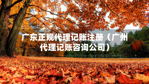 广东正规代理记账注册（广州代理记账咨询公司）