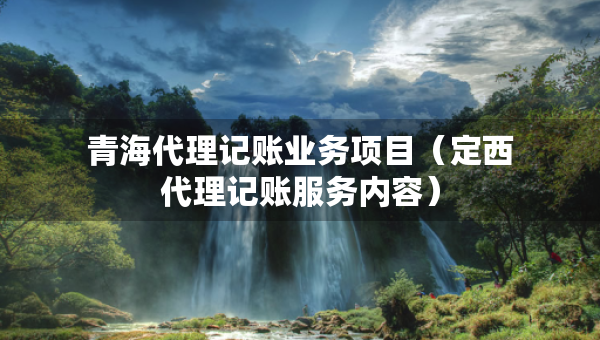 青海代理记账业务项目（定西代理记账服务内容）