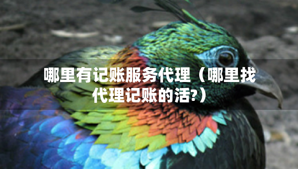 哪里有记账服务代理（哪里找代理记账的活?）