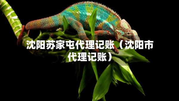 沈阳苏家屯代理记账（沈阳市代理记账）