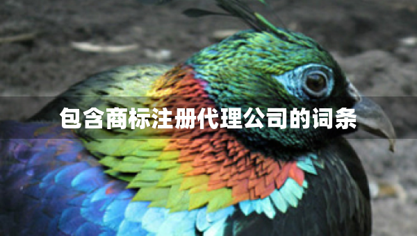 包含商标注册代理公司的词条