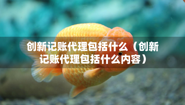 创新记账代理包括什么（创新记账代理包括什么内容）