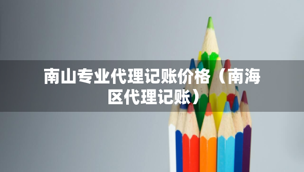 南山专业代理记账价格（南海区代理记账）
