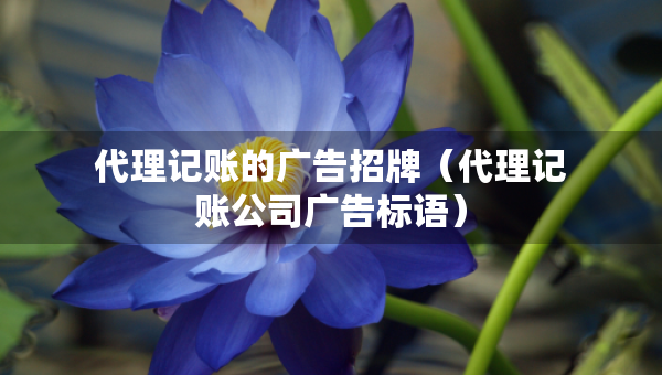 代理记账的广告招牌（代理记账公司广告标语）