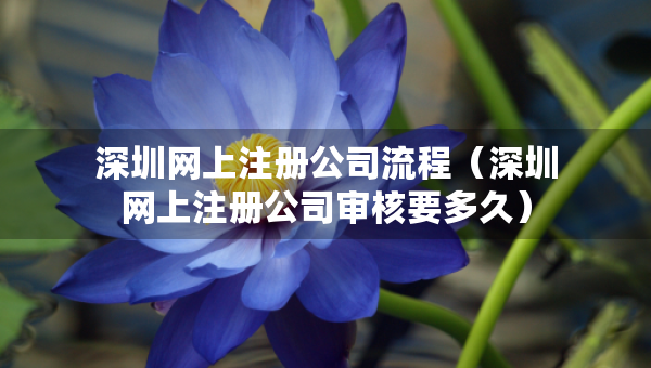 深圳网上注册公司流程（深圳网上注册公司审核要多久）