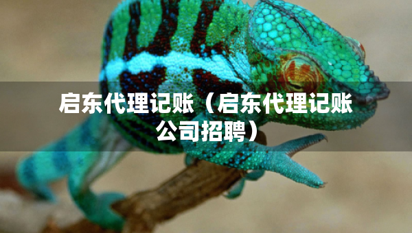 启东代理记账（启东代理记账公司招聘）