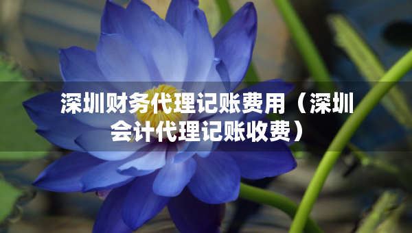 深圳财务代理记账费用（深圳会计代理记账收费）