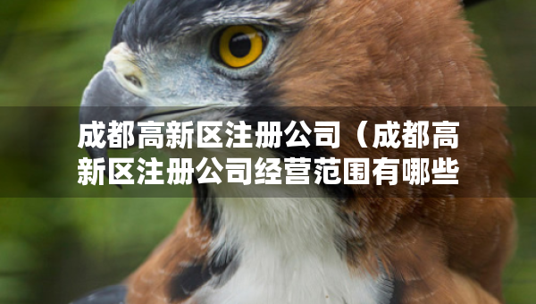成都高新区注册公司（成都高新区注册公司经营范围有哪些）