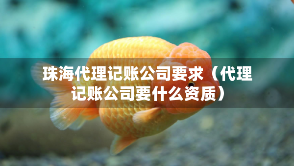 珠海代理记账公司要求（代理记账公司要什么资质）