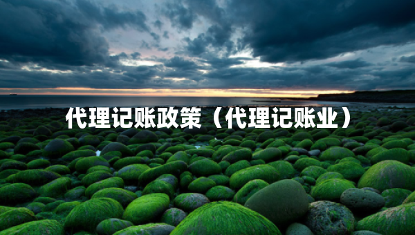 代理记账政策（代理记账业）