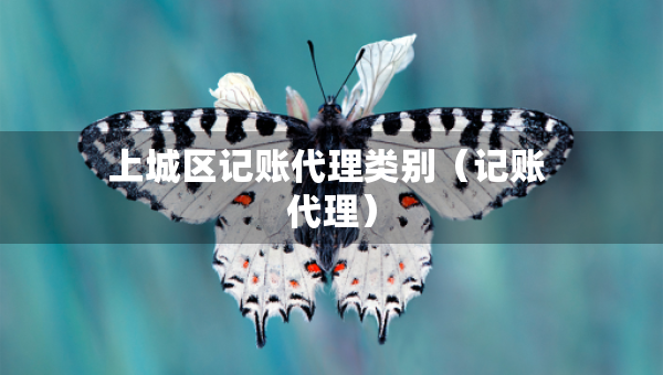 上城区记账代理类别（记账 代理）