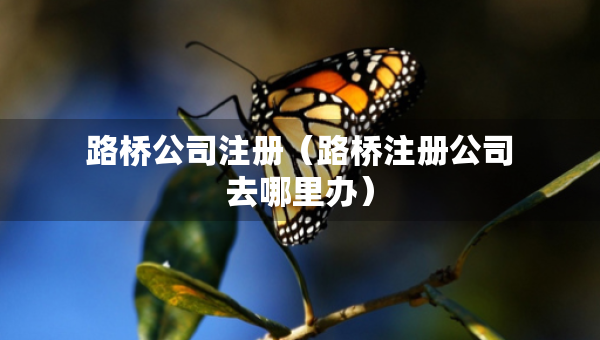 路桥公司注册（路桥注册公司去哪里办）