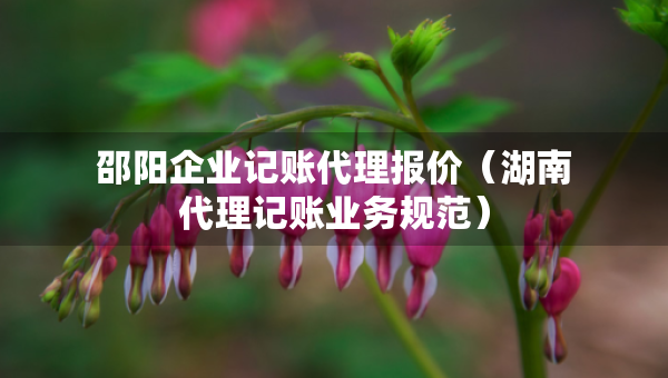 邵阳企业记账代理报价（湖南代理记账业务规范）