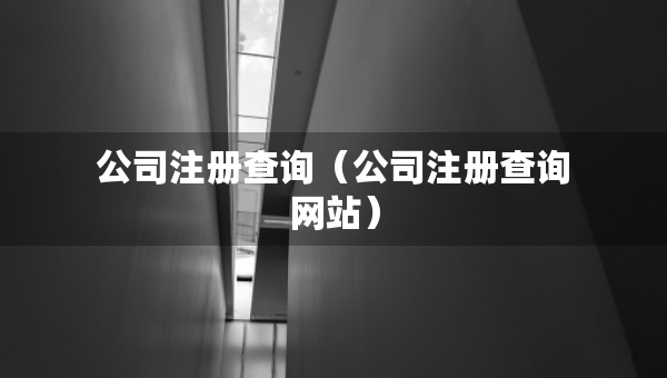 公司注册查询（公司注册查询网站）