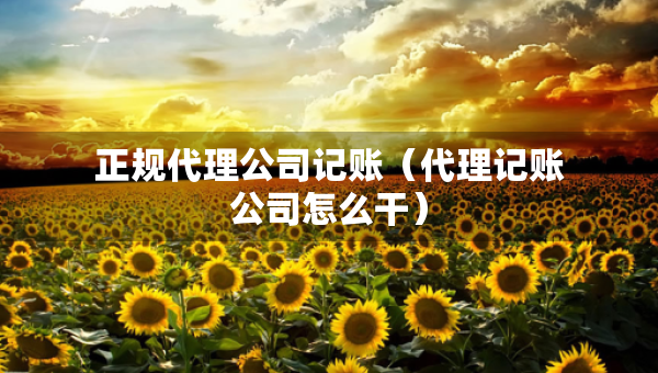 正规代理公司记账（代理记账公司怎么干）