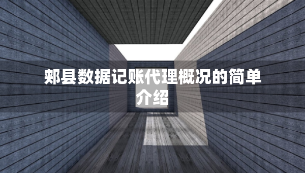 郏县数据记账代理概况的简单介绍