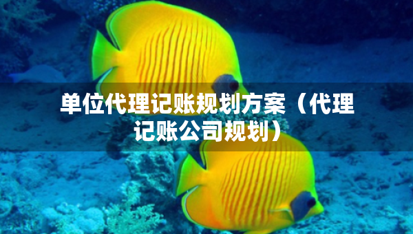 单位代理记账规划方案（代理记账公司规划）