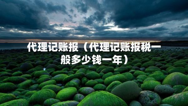 代理记账报（代理记账报税一般多少钱一年）