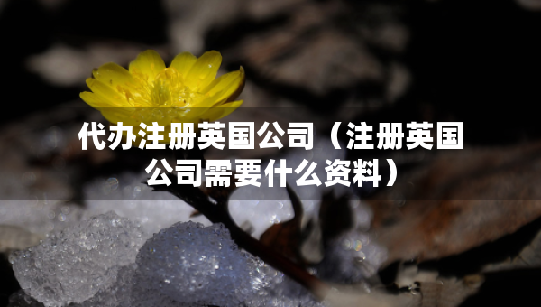 代办注册英国公司（注册英国公司需要什么资料）