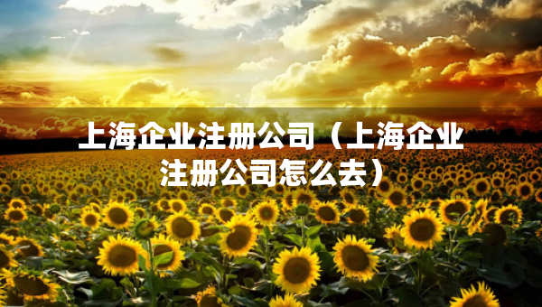 上海企业注册公司（上海企业注册公司怎么去）