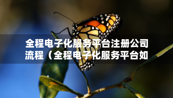 全程电子化服务平台注册公司流程（全程电子化服务平台如何申请营业执照）