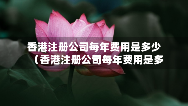 香港注册公司每年费用是多少（香港注册公司每年费用是多少钱）