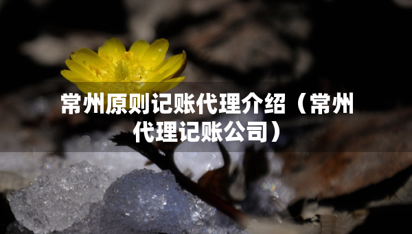 常州原则记账代理介绍（常州代理记账公司）