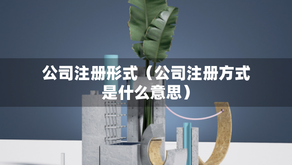 公司注册形式（公司注册方式是什么意思）
