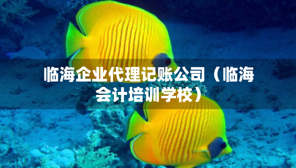 临海企业代理记账公司（临海会计培训学校）