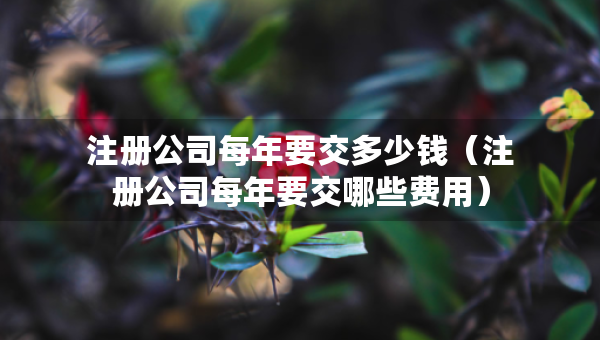 注册公司每年要交多少钱（注册公司每年要交哪些费用）