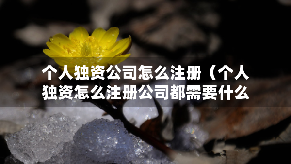 个人独资公司怎么注册（个人独资怎么注册公司都需要什么手续）