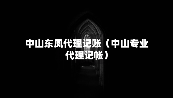 中山东凤代理记账（中山专业代理记帐）