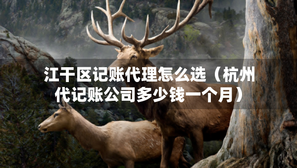 江干区记账代理怎么选（杭州代记账公司多少钱一个月）