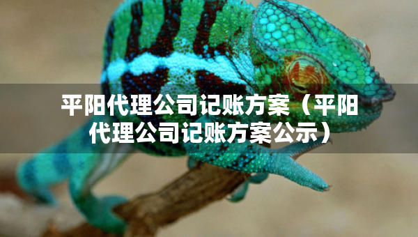 平阳代理公司记账方案（平阳代理公司记账方案公示）
