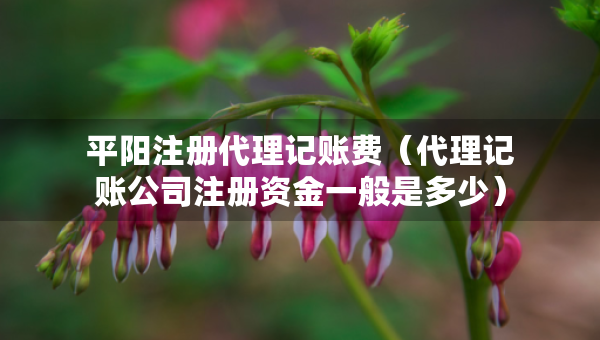 平阳注册代理记账费（代理记账公司注册资金一般是多少）