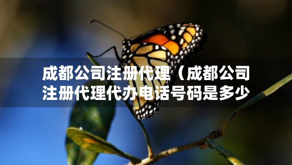 成都公司注册代理（成都公司注册代理代办电话号码是多少）