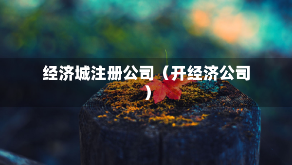 经济城注册公司（开经济公司）