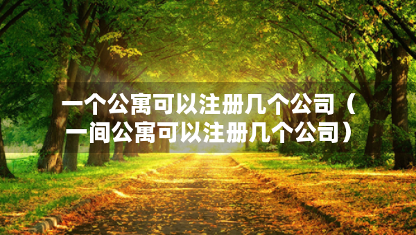 一个公寓可以注册几个公司（一间公寓可以注册几个公司）